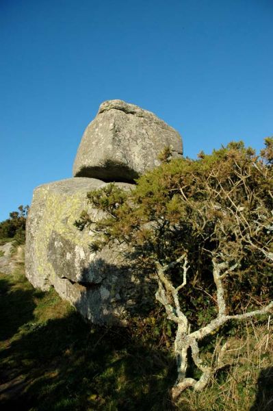Trencrom Rock and Tree | Cornwall Guide Images