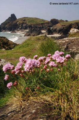 Kynance Cove