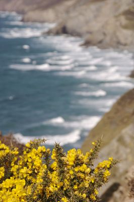 Porthtowan Coast Path