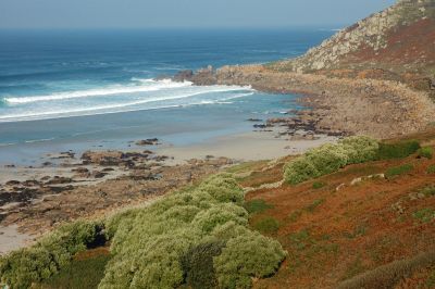 Autumn Beach View