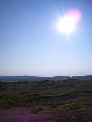 Evening sun on the moors