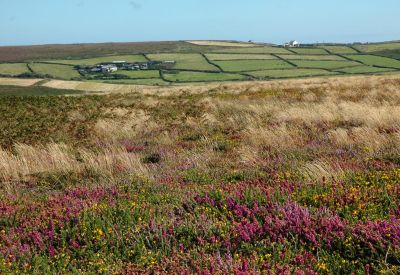 Moor and Farm Land