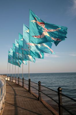 Jubilee Pool Flags