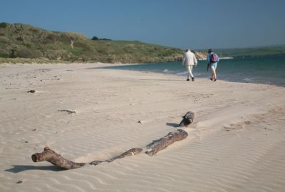 Couple Walking on Beach at Rock