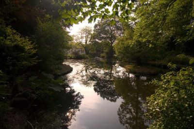 Veryan Pond